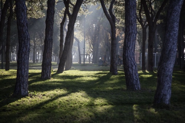 Parco delle Rimembranze. Isola di Sant'Elena. Venezia 2017