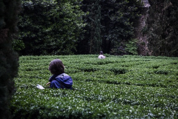 GIARDINO GIUSTI